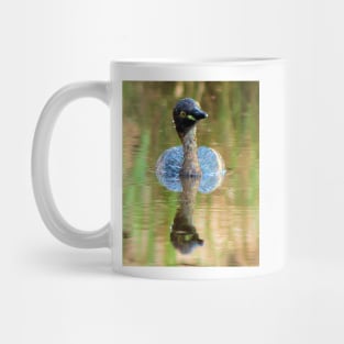 Australasian grebe, Australia Mug